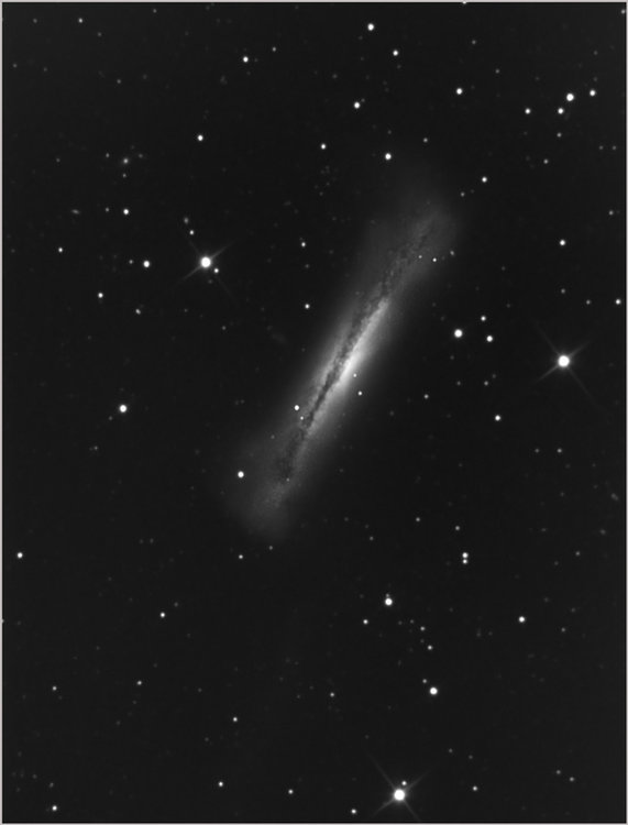 ngc3628_atik_12_4_2010.jpg