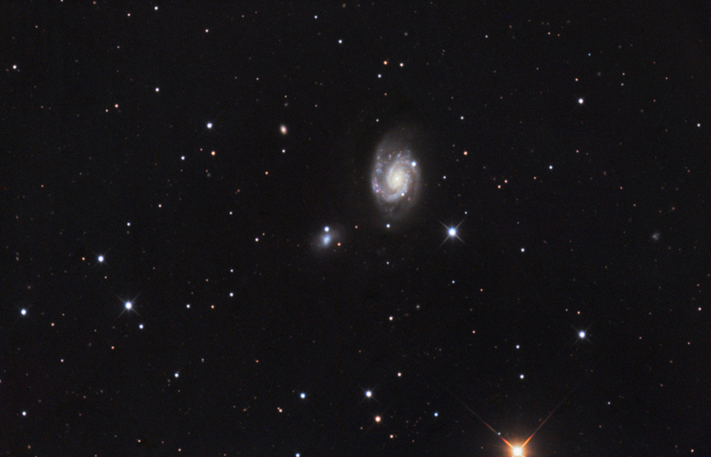 ngc3893-75.jpg