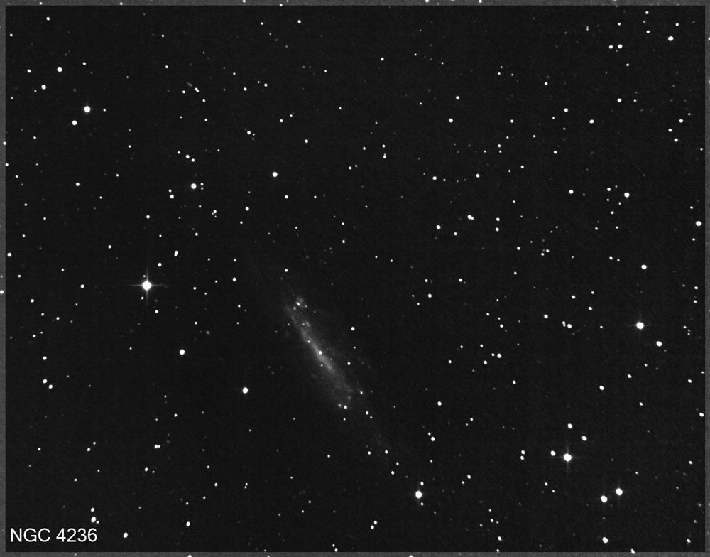 ngc4236nbweb.jpg