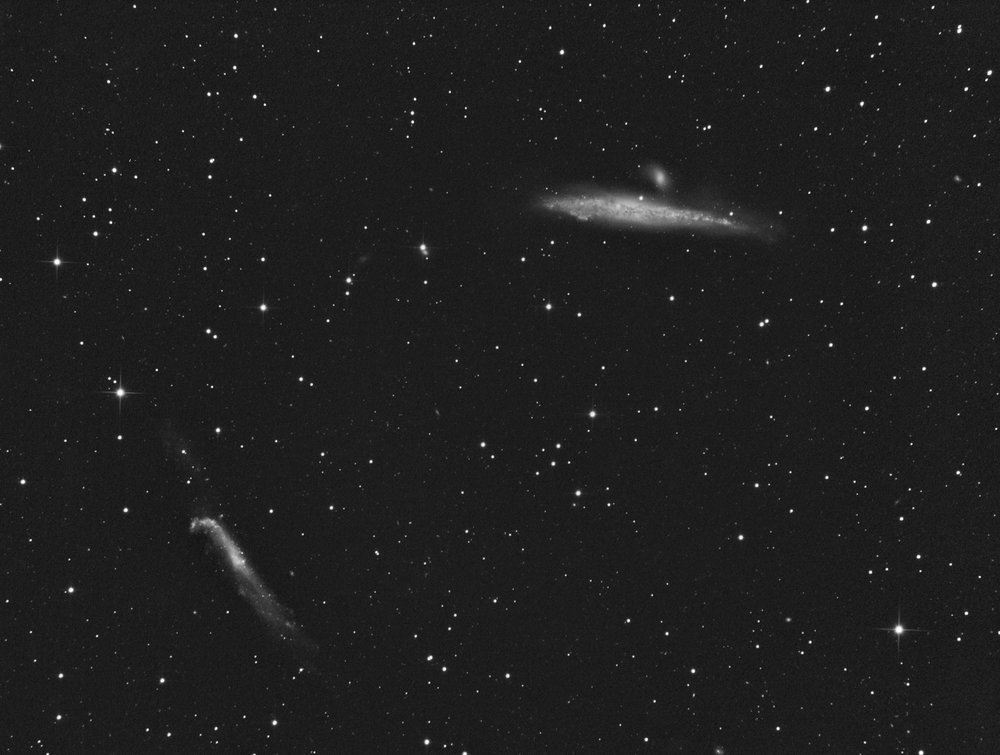 ngc4631.jpg