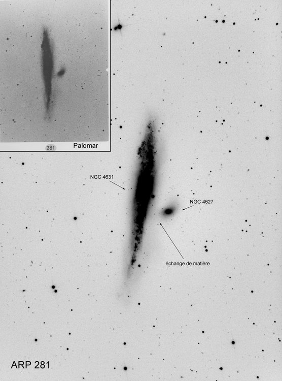 ngc4631_neg.jpg