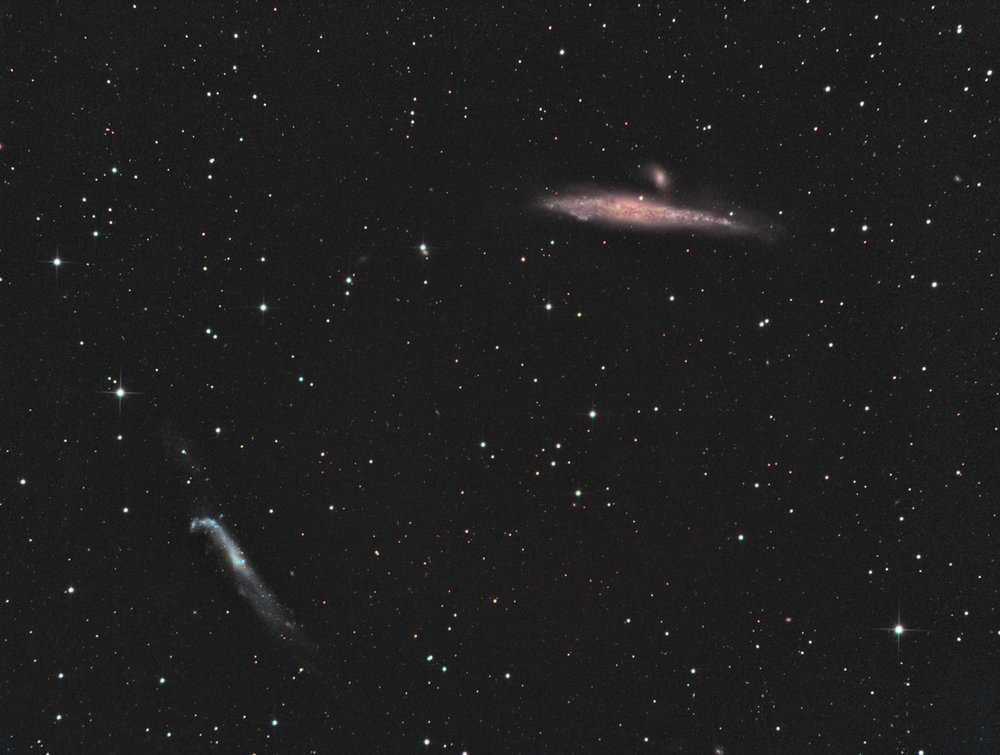 ngc4631couleur_boost.jpg