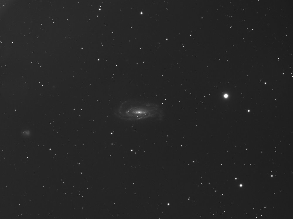 ngc5033l-40x5min-cognac-240611r.jpg