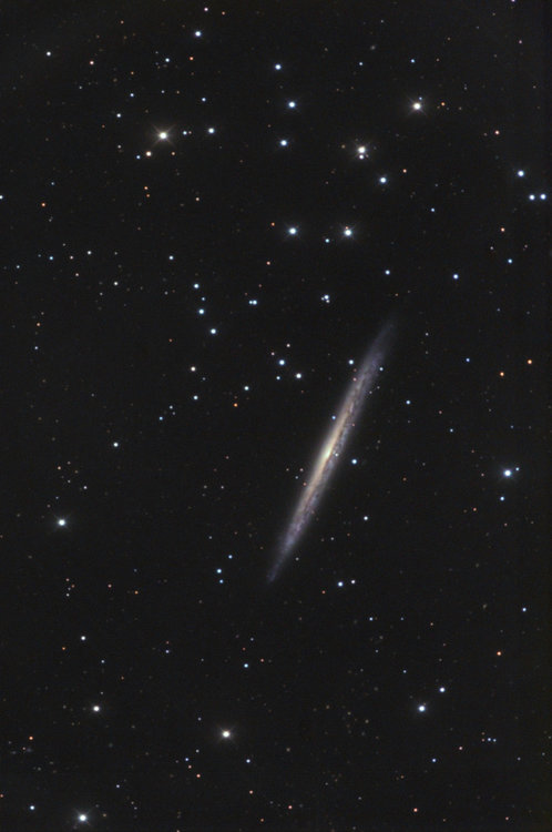 ngc5921-75.jpg