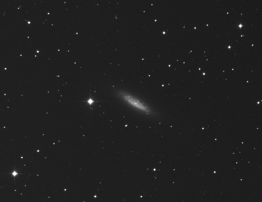 ngc6503.jpg