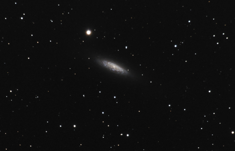 ngc6503_20110728_vignette_forum.jpg