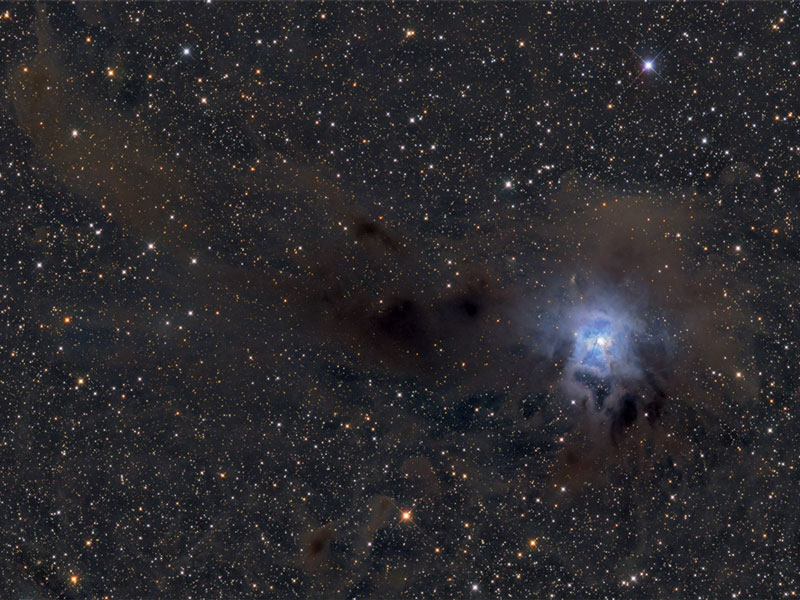 ngc7023_davis.jpg