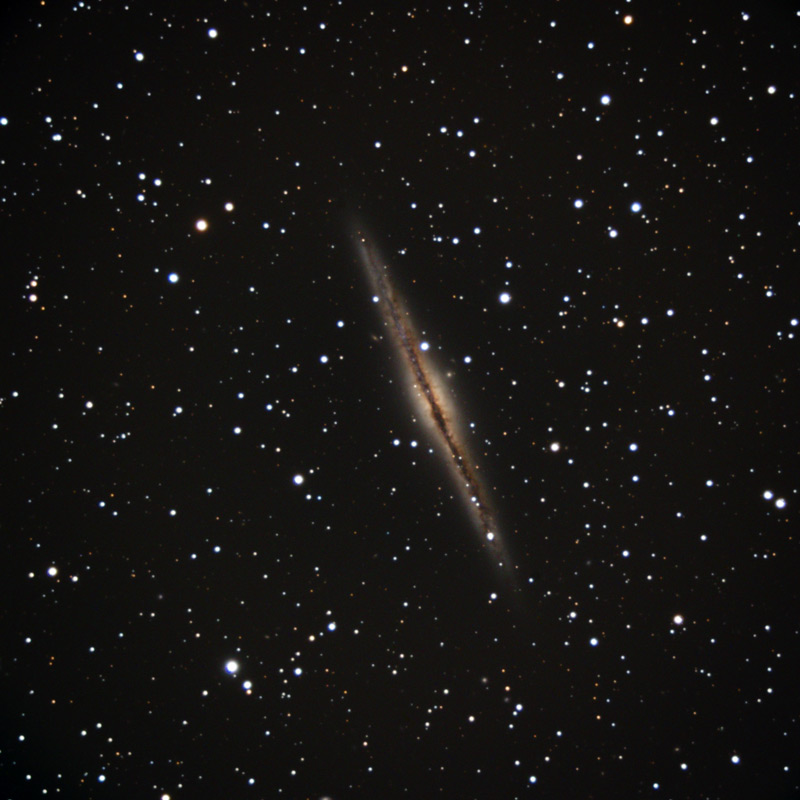 ngc891_web.jpg