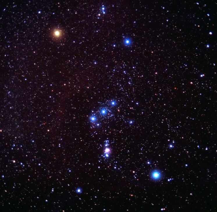 orion-spinelli.jpg