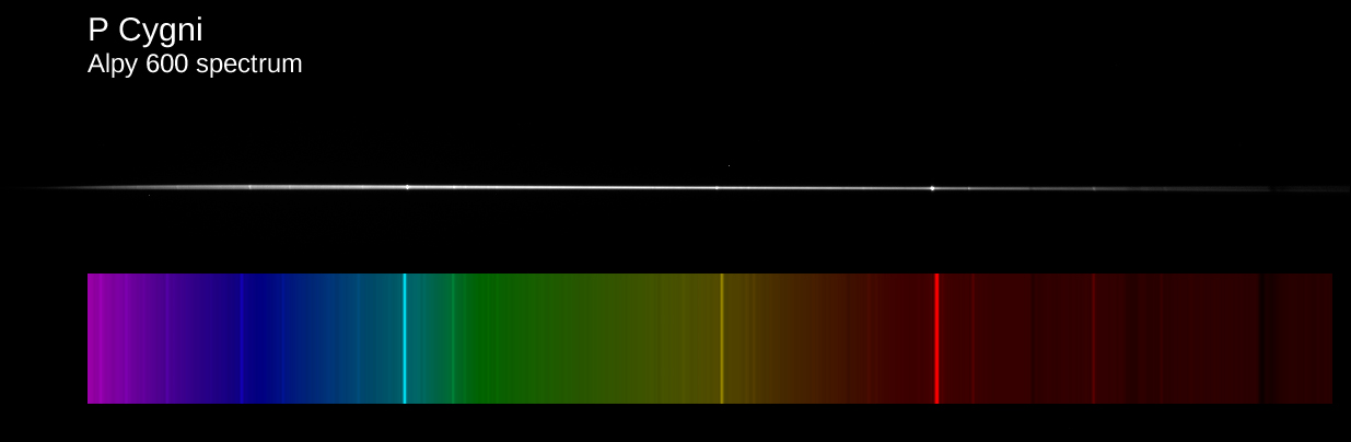 pcygra10.jpg