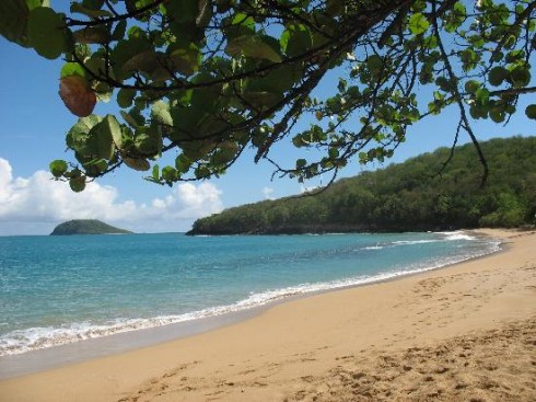 plage-basse-terre-guadeloupe-490x367.jpg