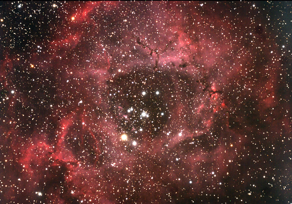 rosette-0209-tec-300d-22x5mnr.jpg