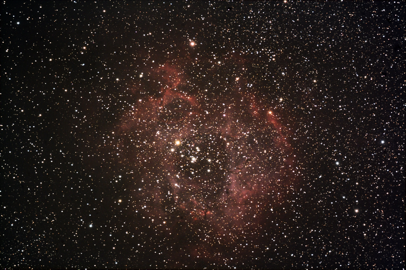 rosette-28i-180s-1600ISO-120421015-1.jpg