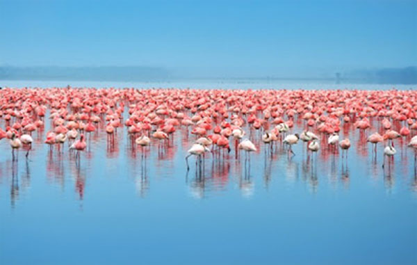 salar-de-uyuni-largest-mirror-of-the-world.jpg