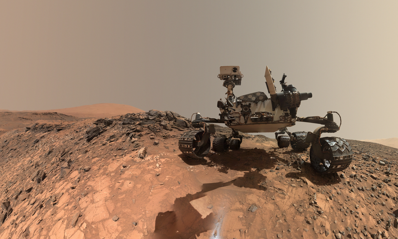 selfie_curiosity.png