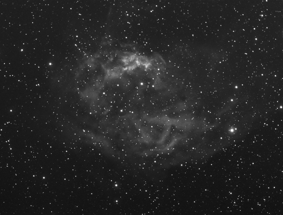 sharpless261_110208sthelr.jpg