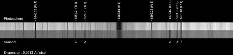 sp6563.jpg