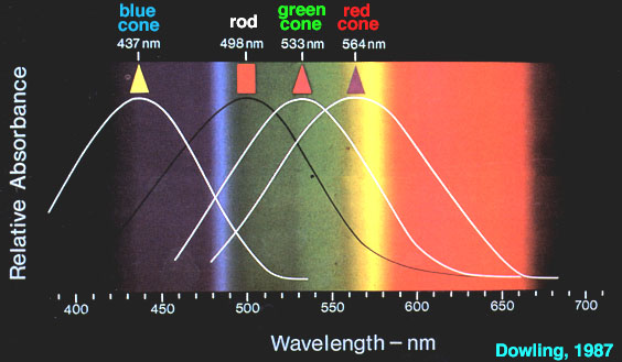 spectra.jpeg