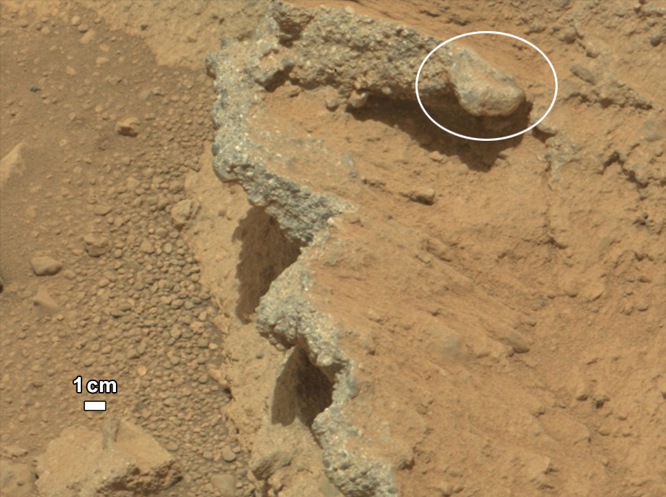 streambank_curiosity_965.jpg