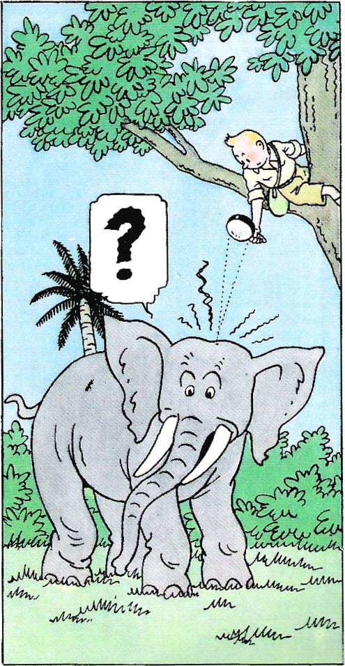 tintin-elephant.jpg