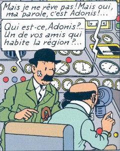 tintin1-239x300.jpg