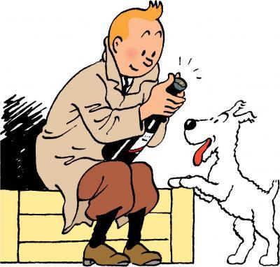 tintin1.jpg