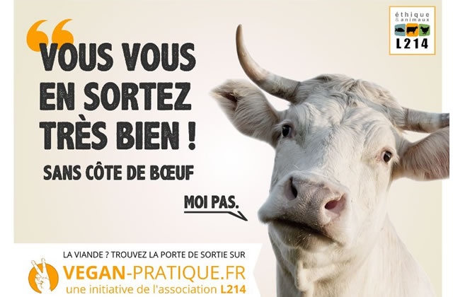 vegan-pratique.jpg