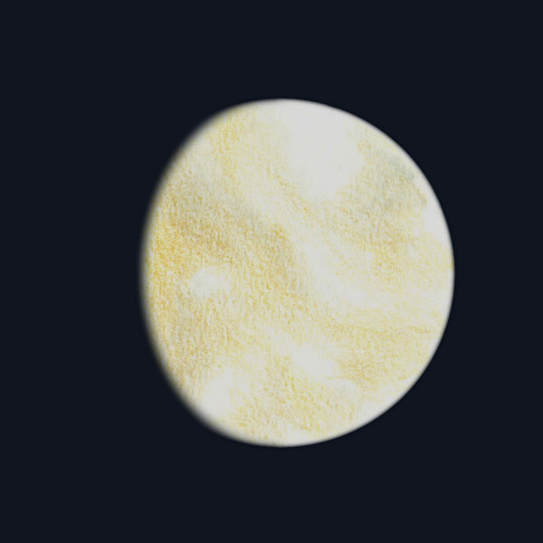 venus_15_02.jpg