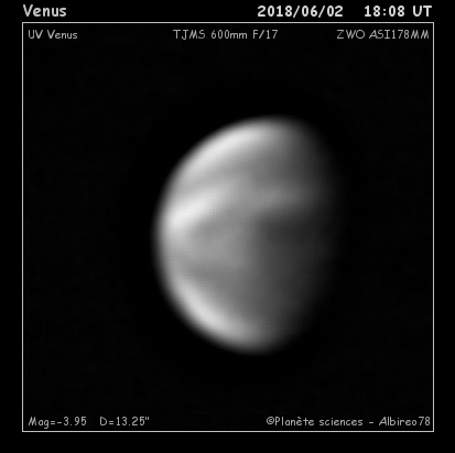 venus_21.jpg