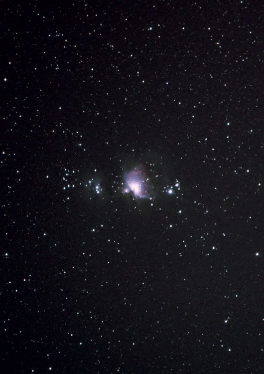 M42_close-up.thumb.jpg.89130dfc4850bd9b40cdbfbe2d8ea33c.jpg