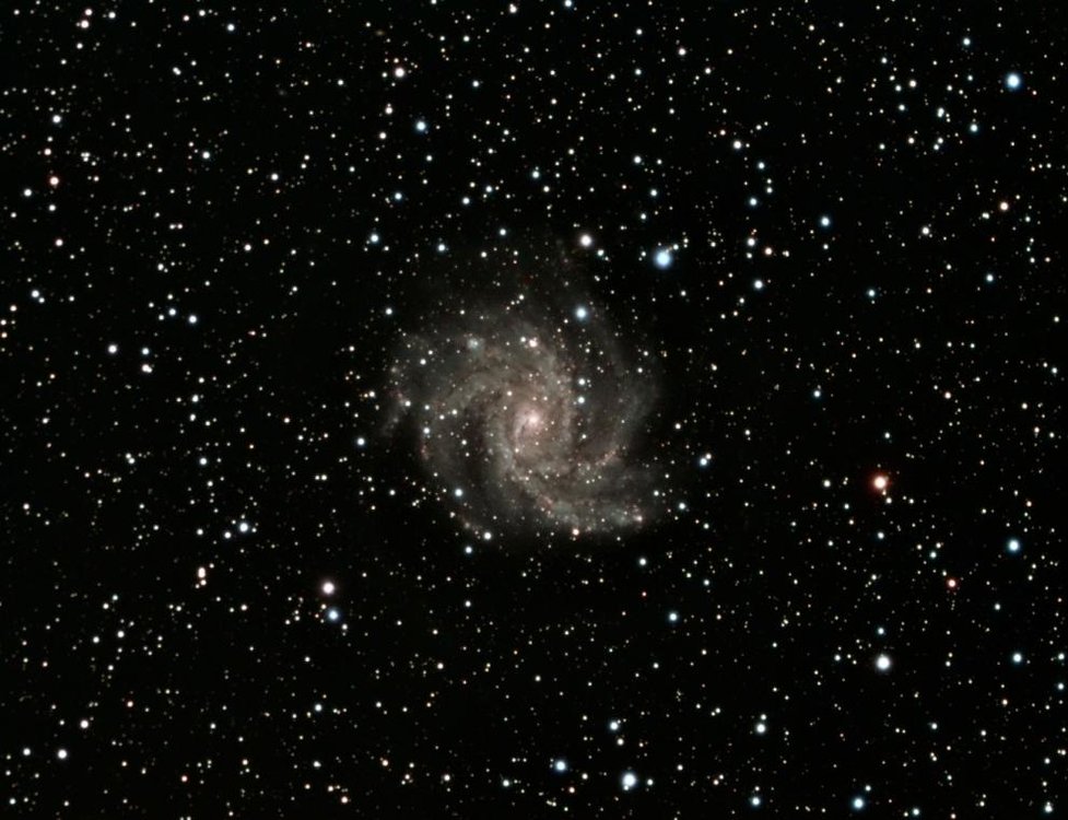 NGC6946.thumb.jpg.b96bbfbf7d3d6d6a3075f79b5c8bc49e.jpg