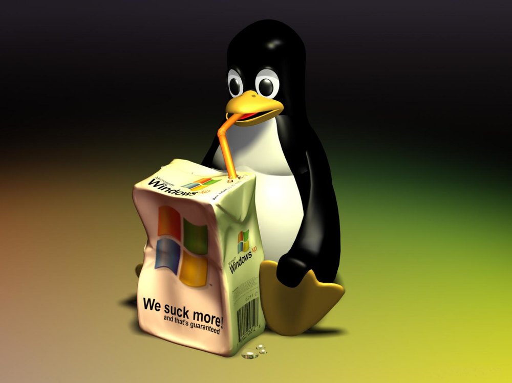 linux-47-linux-informatique.thumb.jpg.78790c1ccca8ab1ffc89ab9859d748d3.jpg