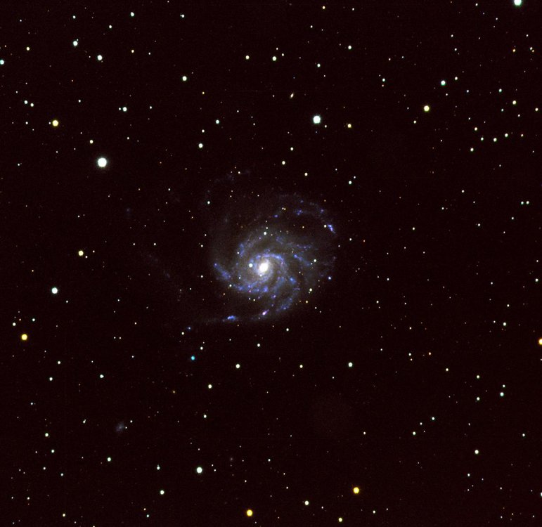 m101v2.thumb.jpg.98742dce813f463e31c9b964230476fe.jpg