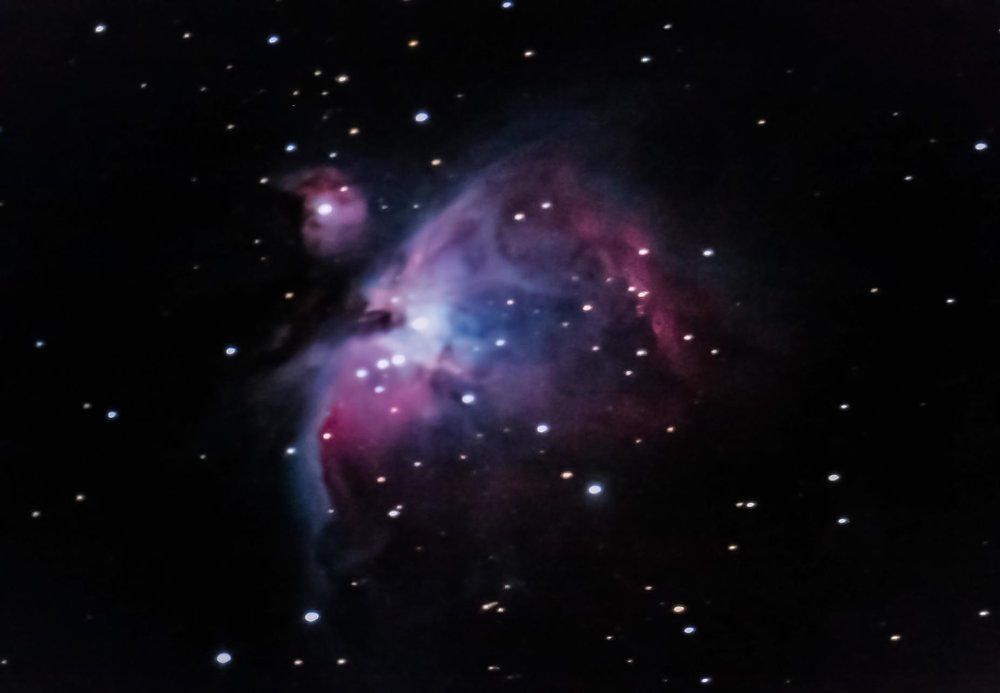 m42iris.thumb.jpg.a94a2515b0e5481bef6a83a333933957.jpg