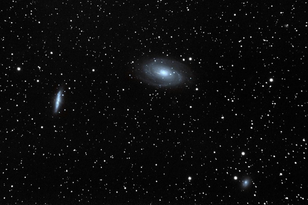 m81.thumb.jpg.f778029965a27961d390f3d454d6ac98.jpg