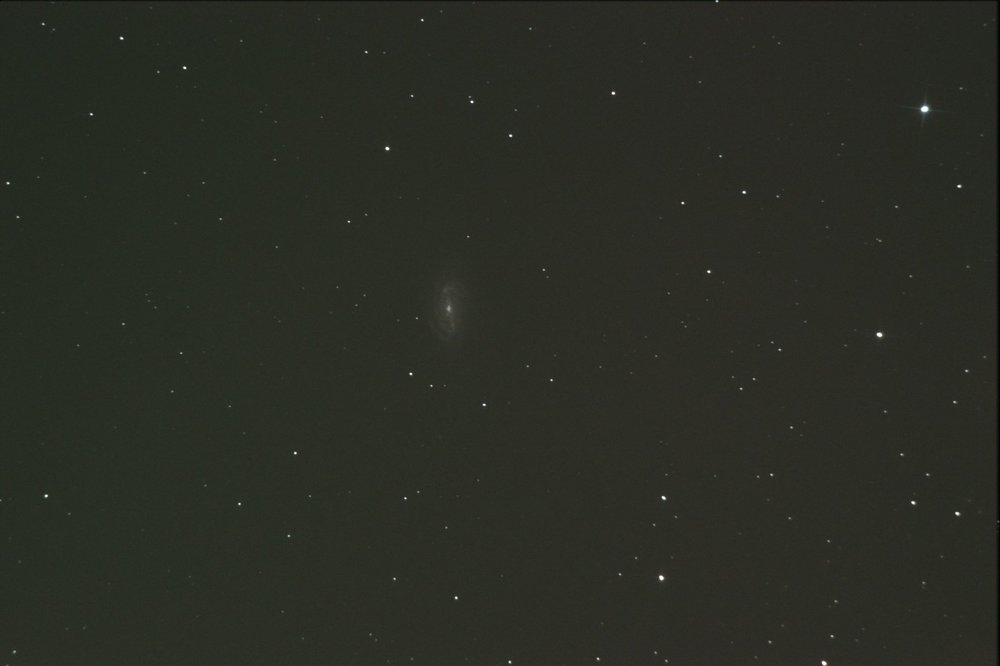 5aef8f7174ed9_NGC2903Stack_13frames_285s.thumb.jpg.ab02eb979895065ee55f26101405e3b4.jpg