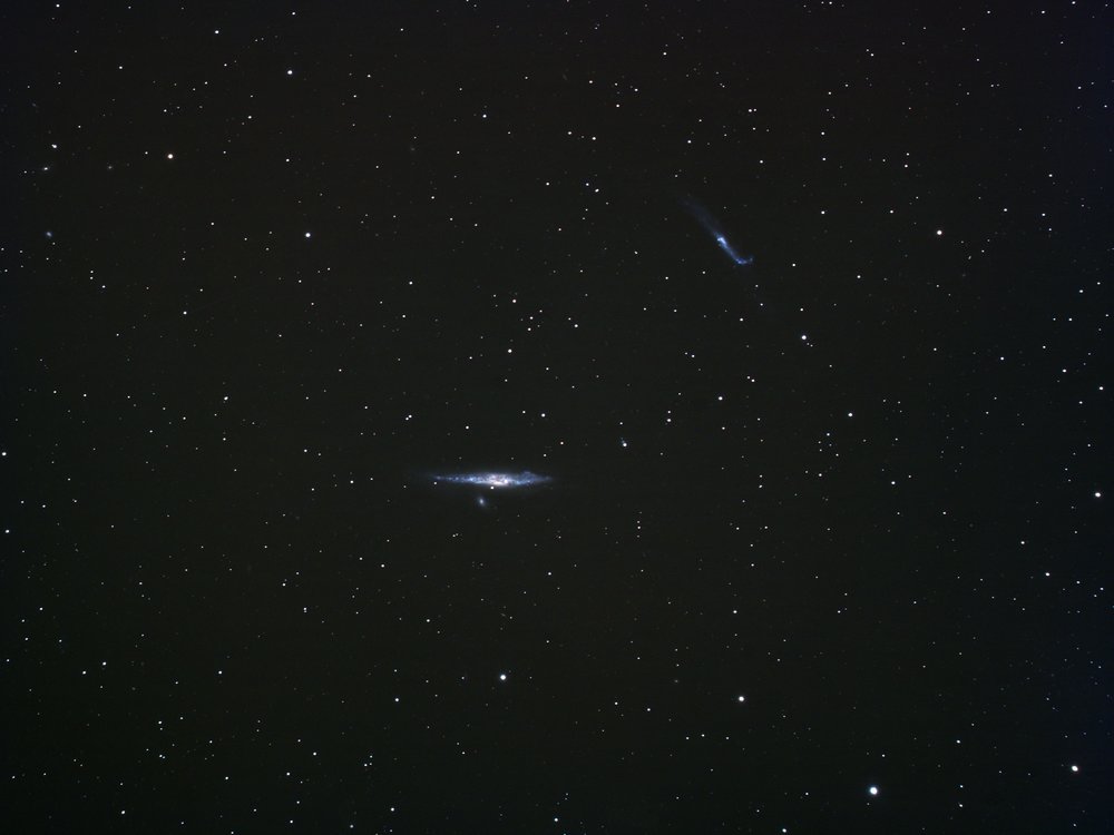 ngc4631aa.jpg