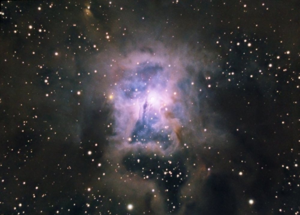 1712092448_NGC7023(irisnebula)53x300bin1couleur5.thumb.jpg.f35ecf709b072e7eabcada0c161ca8f5.jpg