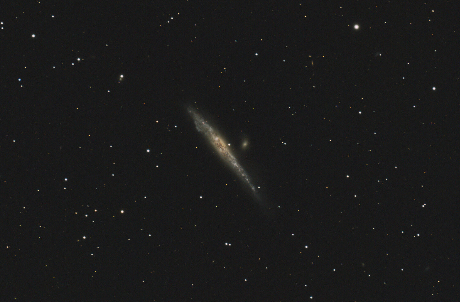 NGC 4631 & NGC 4565 - Astrophotographie - Webastro